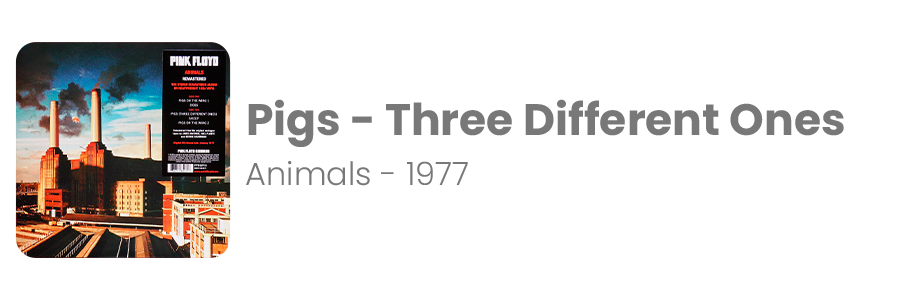 3---Pigs---Three-Different-Ones