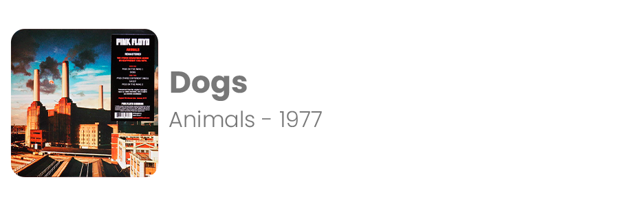 8---Dogs